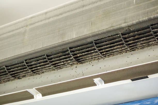 Best Professional Duct Cleaning Services  in Sansom Park, TX